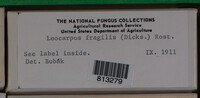 Image Associated With the Occurence
